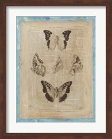 Bookplate Butterflies IV Fine Art Print