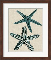 Coastal Starfish I Fine Art Print