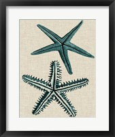 Coastal Starfish I Fine Art Print