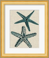 Coastal Starfish I Fine Art Print