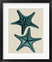 Coastal Starfish II Fine Art Print