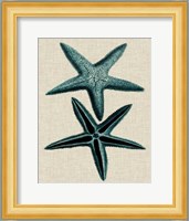 Coastal Starfish III Fine Art Print
