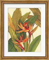 Tropical Bird of Paradise Fine Art Print