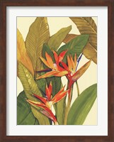 Tropical Bird of Paradise Fine Art Print