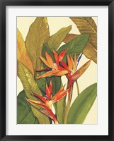 Tropical Bird of Paradise Fine Art Print