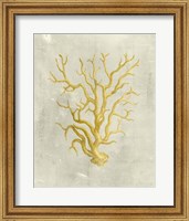 Coral in Mustard Fine Art Print