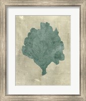 Coral in Teal Fine Art Print