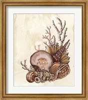 Baroque Nautilus I Fine Art Print