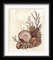 Baroque Nautilus I Fine Art Print