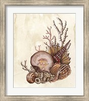 Baroque Nautilus I Fine Art Print