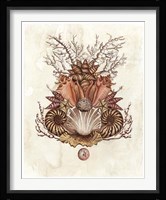 Baroque Nautilus II Fine Art Print