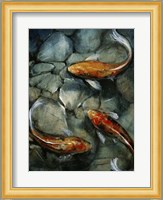 Tres Koi I Fine Art Print