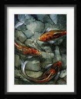 Tres Koi II Fine Art Print