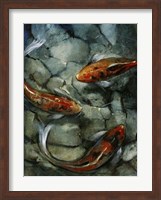 Tres Koi II Fine Art Print