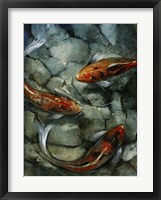 Tres Koi II Fine Art Print