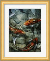 Tres Koi II Fine Art Print