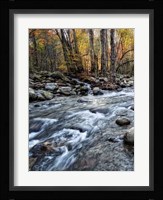 Porter's Creek I Framed Print