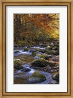 Autumn on Little River Fine Art Print
