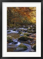 Autumn on Little River Fine Art Print