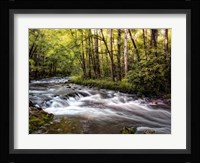 Sunlight on Jake's Creek II Framed Print