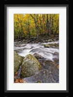 Roaring Waters I Framed Print