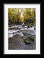Roaring Waters II Framed Print