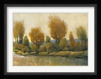 Creek Side II Framed Print