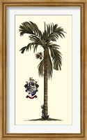 Elongated Exotic Palm II Fine Art Print
