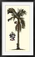 Elongated Exotic Palm II Fine Art Print