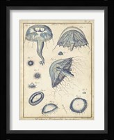 Medusa I Framed Print