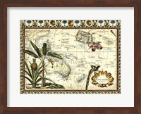 Tropical Map of East Indies Fine Art Print