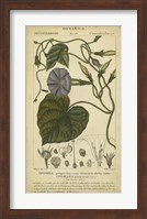 Floral Botanica I Fine Art Print