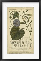 Floral Botanica I Fine Art Print