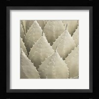 Organic Elements VII Fine Art Print