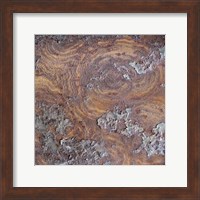 Organic Elements IX Fine Art Print