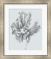 Silvery Blue Tulips III Fine Art Print