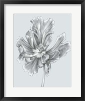 Silvery Blue Tulips III Fine Art Print