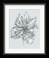 Silvery Blue Tulips IV Fine Art Print