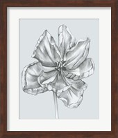 Silvery Blue Tulips IV Fine Art Print