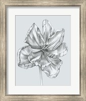 Silvery Blue Tulips IV Fine Art Print