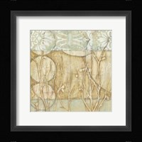 Small Willow and Lace II Fine Art Print