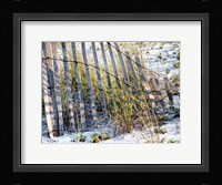 Sea Oats I Framed Print