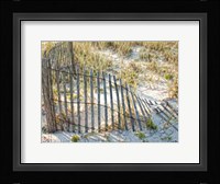 Sea Oats III Framed Print