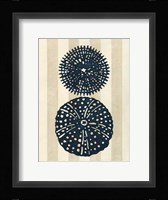 Sea Life Silhouette II Framed Print