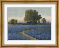 Blue Bonnet Field I Fine Art Print