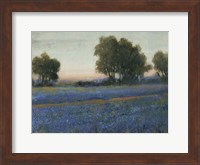 Blue Bonnet Field II Fine Art Print