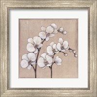 White Orchid II Fine Art Print