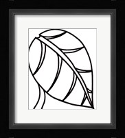 Sprout I Fine Art Print