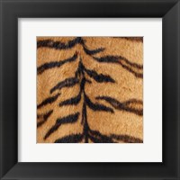 Animal Instinct III Fine Art Print