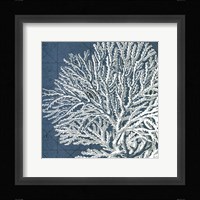 Coastal Menagerie I Fine Art Print